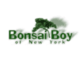 Visit Bonsai Boy of New York