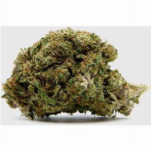 Sichern Sie sich 17 Rabatt auf orientalische Datteln mit 19 CBD