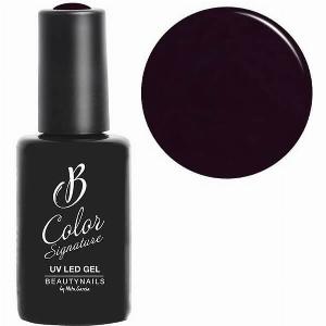 Gel UV Color Signature Beautynails Artiste Amethyst réduit à 743