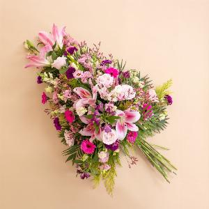 Palma Delicata Rosa da 159  a 149  risparmia il 6