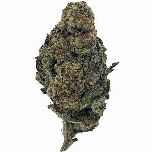 G Flower THCA Sativa Now Just 20 Originally Priced at 4999