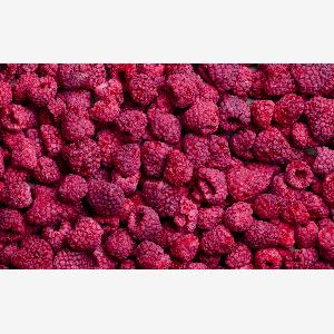 Gefriergetrocknete BioHimbeeren 25g