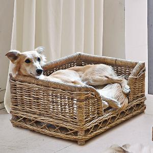 Cesta per cani Gorron