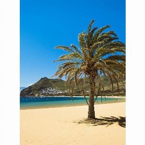 Enjoy 15 Off Winter Warmth in the Canary Islands