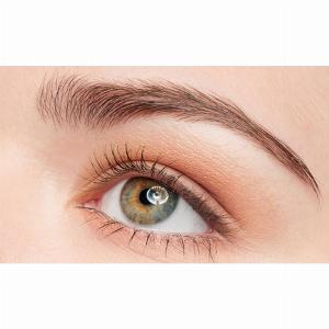 Enjoy a 13 Discount on an Eyelash Tinting Treatment Today