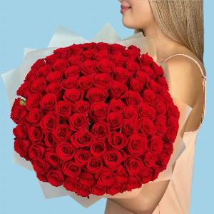 100 Premium Red Roses