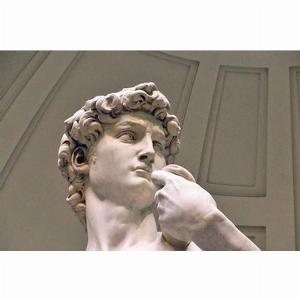 Risparmia 539 Biglietti prioritari per la Galleria dellAccademia