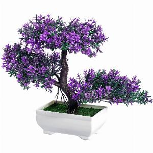 Profitieren Sie von 37 Preisnachlass auf Blühender Bonsai