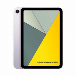 Apple iPad mini 2024 A17 Pro WiFi  Cellular 128GB viola  Ricondizionato  Come nuovo  Grade A