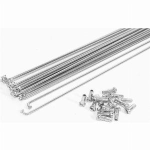 Raggi Bici 194mm Acciaio Zincato Argento con Nippli Set da 10 Pezzi