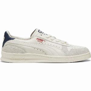 Puma Indoor Frosted Ivory  Vapor Gray