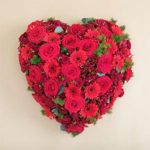 Per sempre nel cuore ora a 149  con un risparmio del 12