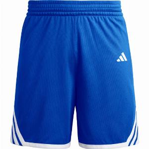 adidas Everyday Pro Court Bleu