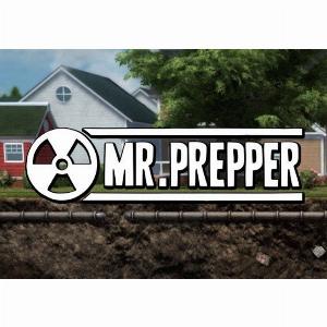 Mr Prepper Global Steam Key