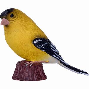 American Goldfinch Now 695 Previously 995  Save 30