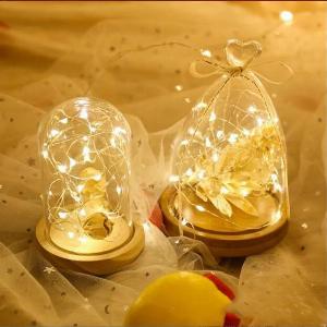 Guirlande lumineuse LED clignotante de 2 m  Décorations de boîtecadeau de fête de Noël  Guirlandes lumineuses dextérieur  Guirlande lumineuse de jardin à piles 2M20leds multicolore