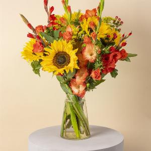 Golden Abundance Now 4299 Was 4699  Save 9 Today