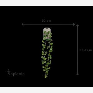 20 Rabatt auf die 180 cm lange Künstliche EfeuGirlande Joline