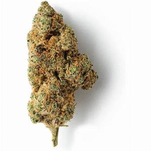 Enjoy 20 Discount on Fruit Sushi CBD Hemp Flower and Premium Indoor 15 CBD