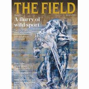 The Field