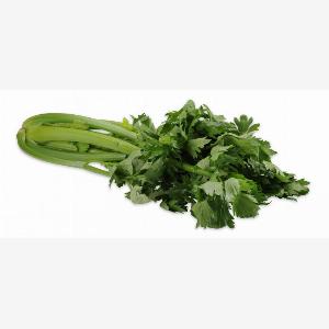 Gesunde Vielfalt Tipps und Rezepte mit Staudensellerie