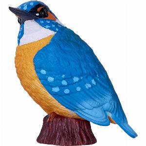 Kingfisher Was 995 Now 695  Enjoy 30 Discount