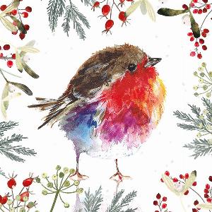 Transform Trade Fluffy Robin Charity Christmas Cards  Pack of 10
