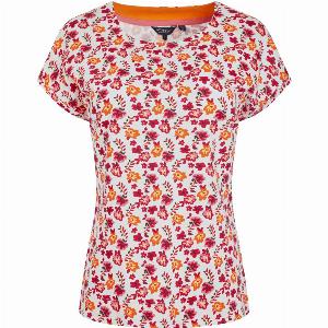Weird Fish Paw Paw Organic Cotton Printed TShirt Apricot Size 14
