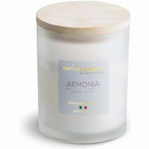 Scopri lofferta 30 di sconto su Candela Aromatica Armonia 200g