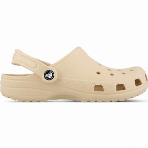 Crocs Classic Bambini  Infradito e sandali Marrone  Taglia 3738  PlasticPolycarbonate