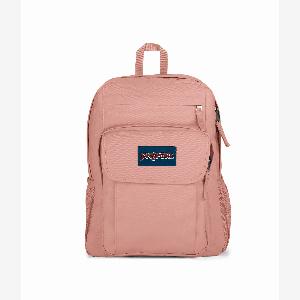 Get 40 Discount on JanSport Union Pack Backpack  Misty Rose Colour