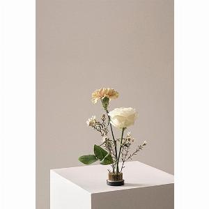 40 Rabatt auf FIORE Blumensteckigel mit 46 cm Durchmesser