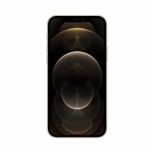 iPhone 12 Pro 256 Go Or  Garantie 24 mois prix réduit à 33990