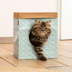 Beeztees Raisa 11 Rabatt auf den Spielsack für Kätzchen