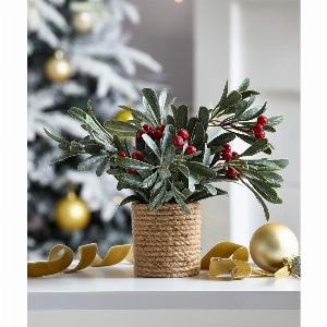 Damart 23cm Dusty Mistletoe Pot Red Berries