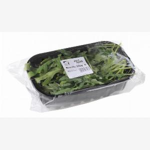 Rucola Geschmack und Verwendung der aromatischen Rauke
