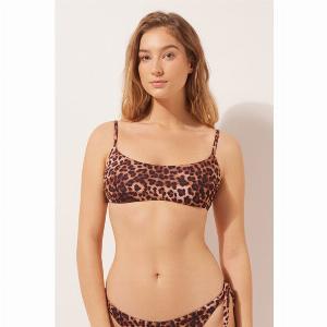 Calzedonia Haut de maillot brassière Classic Animalier Femme Taille L  4