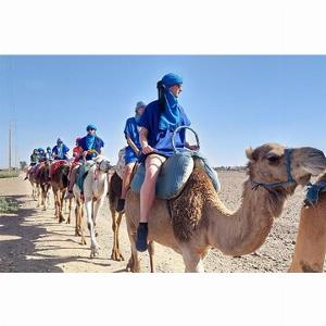 Save 2000 Marrakech Atlante villaggi cascate Tour con pranzo