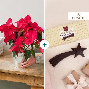 Scopri uno sconto del 13 su Natale Stellato