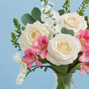 The Flower Patch Was 3690 Now 3490  Enjoy 5 Discount
