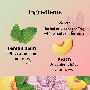 Twinings Superblends  Menopause Cool Moments  Peach Lemon Balm Honey Bush  Sage Flavoured Herbal Infusion  Added Vitamin B6  Health Tea Drink 2