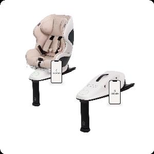 The Bases Bundle