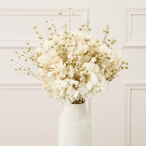 Bouquet Santa  Commandez des fleurs séchées chez Bergamotte en ligne