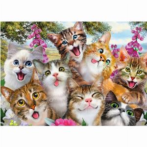 Puzzle Cats Selfy Schmidt Spiele