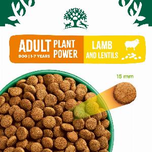 Enjoy 15 Discount on 10kg Adult Lamb Dry Dog Food Plant Power