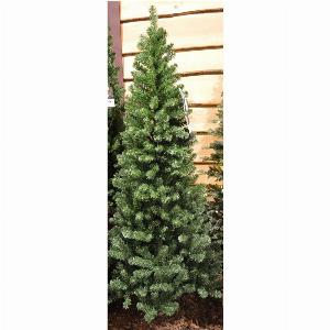 Enjoy 10 Discount on a 150cm Slim Pine Christmas Tree  86cm Width