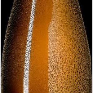 Hutter Steinfeder Grüner Veltliner