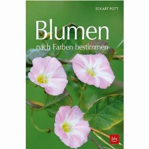 25 Rabatt Blumenfarbenauswahl für Ihr Zuhause