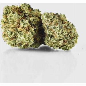 Profitieren Sie von 47 Rabatt auf Pina Paff 20 CBD von Plusmacher