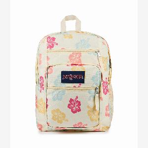 Enjoy 40 Off on the JanSport Big Student Backpack in Hibiscus Baby